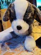 PLUCHE PUPPY