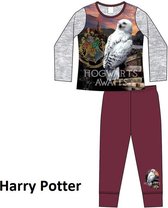 Harry Potter - meisjes /kinder-tiener-pyjama- maat 122/128
