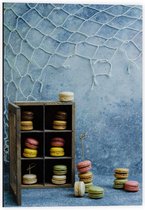 Dibond - Macarons in Doosje met Blauwe Achtergrond - 40x60cm Foto op Aluminium (Wanddecoratie van metaal)