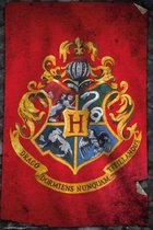 Harry Potter Zwijnstein Poster 61x91.5cm