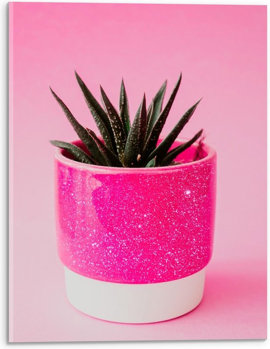 bedrag maag Corrupt Plexiglas - Neon Roze Plantenpotje - 30x40cm Foto op Plexiglas  (Wanddecoratie op... | bol.com