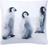 Kussen Pinguïn - ca. 45x45 cm - 100% polyester ( set van 2 stuks )