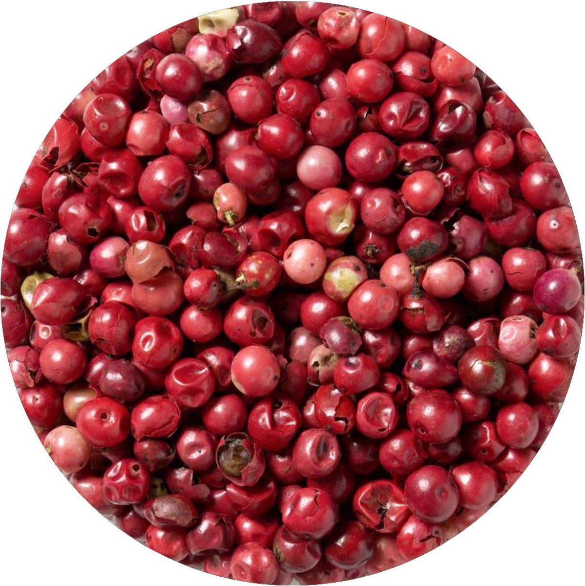 Goedkoopste Roze Peperbessen Schinusbessen Brazilië - 1 Kg - Holyflavours