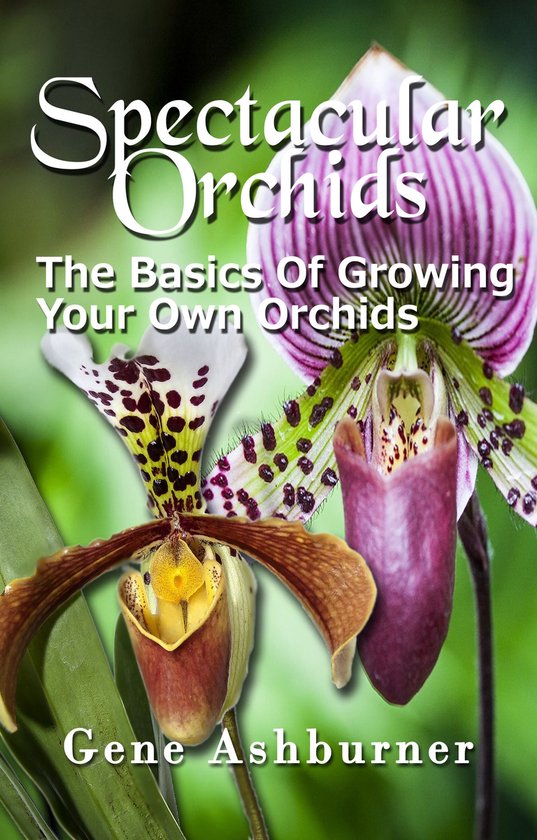 Spectacular Orchids: The Basics Of Growing Your Own Orchids