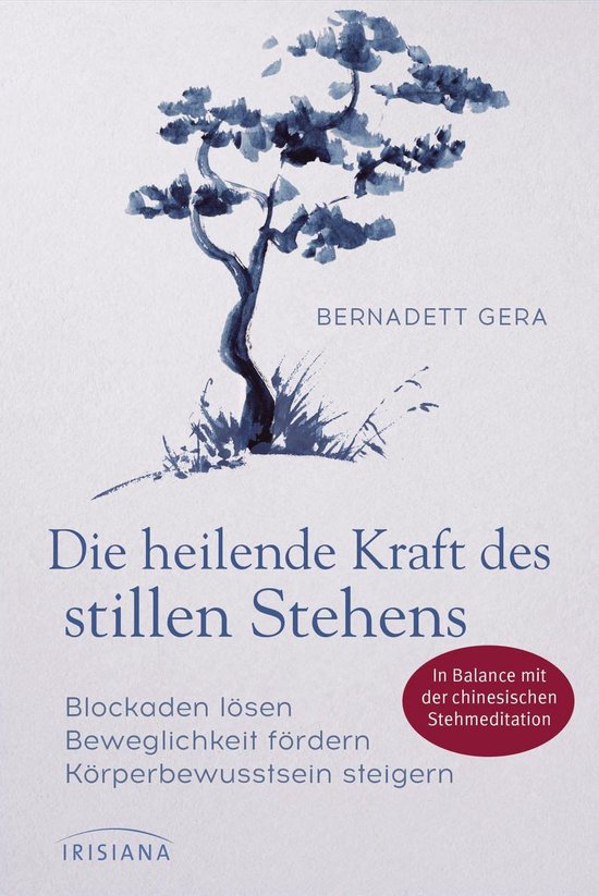 Die heilende Kraft des stillen Stehens - cover