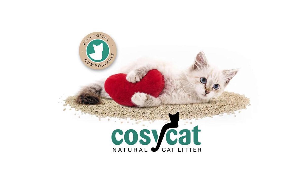 Top 10 kattenbakvulling - welke kiest jouw kat