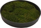 Mosschilderij Julia Vulcano Black ø 50 cm Platmos