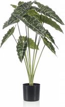 Kunstplant Alocasia 80 cm in pot