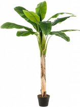 Kunst bananenboom in pot 150 cm
