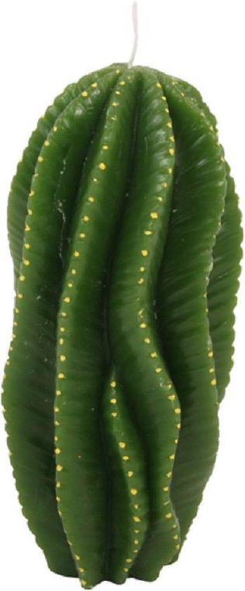 & klevering Wings courbes Cactus
