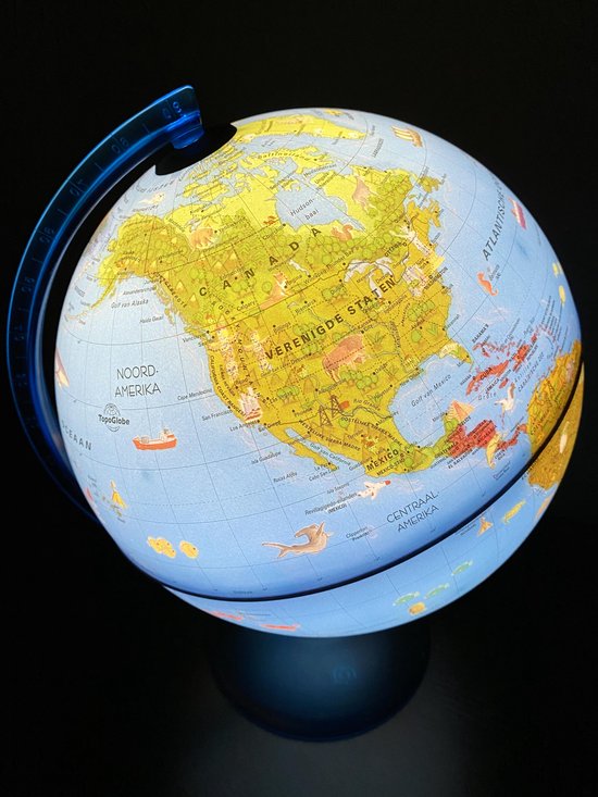 ARCA Wereldbol Globe met ledverlichting - Nederlandstalig - 25 cm - ARCA