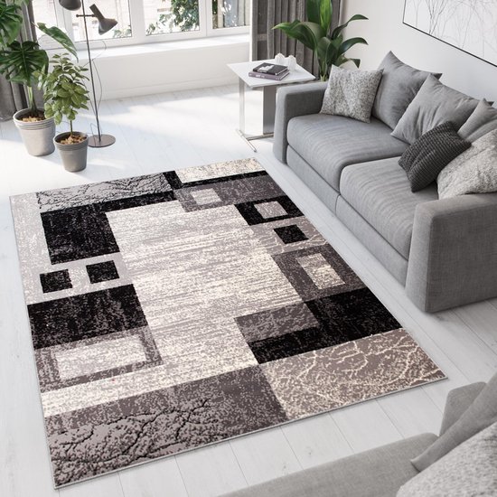 Tapiso Dream Carpet Salon Chambre Grijs Design Abstraite Formes Géométriques Modernes Intérieur Durable Tapis De Haute Qualité Taille - 180 x 250 cm