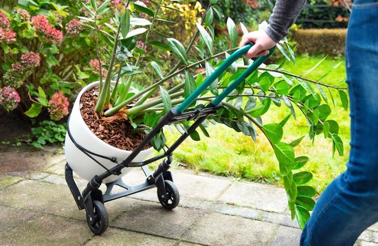 Een persoon gebruikt een opvouwbare steekwagen met groene handgrepen om een grote witte pot met plant te verplaatsen in een tuin.