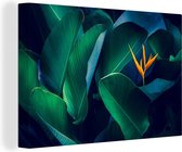 Canvas Schilderij Tropische bladeren met bloem - 120x80 cm - Wanddecoratie