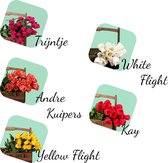 60 Tulpenbollen Deluxe geschenkpakket 1 - Tulip - Bloemen - Bollen - Tuin - Tulpen - Cadeau - Keukenhof - Planten - Liefde - Bloembollen - Tulipa - Geschenk - Duurzaam