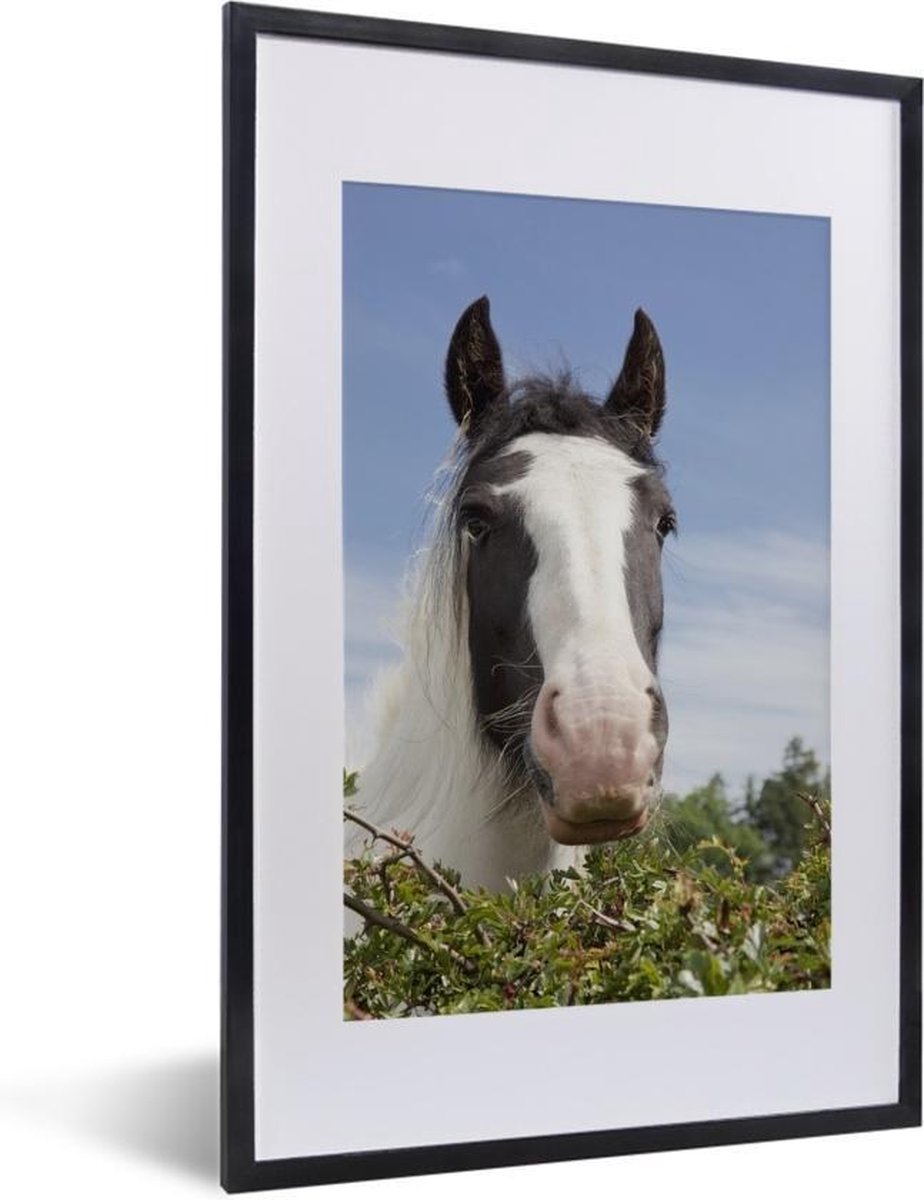 Fotolijst incl. Poster - Clydesdale - zwart - Paarden - 40x60 cm - Posterlijst - PosterMonkey