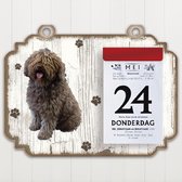 Scheurkalender 2023 Hond: Spaanse Waterhond