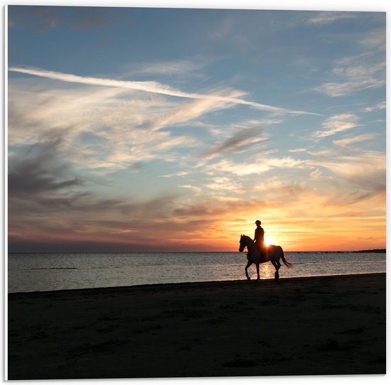 Forex - Paard met Ruiter aan het Strand - 50x50cm Foto op Forex