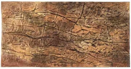 bijzonder Bijwerken Knikken achterwand terrarium Thin 50 x 30 cm bruin | bol.com