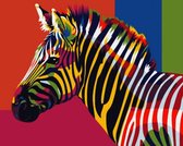 Schilderen op nummer volwassenen, schilderen op nummer kinderen, gekleurde zebra 40X50