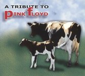 Rock Tribute To Pink Floyd