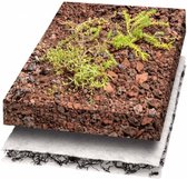 Gauris Groendak, compleet pakket inclusief 80 planten en 500 g sedum voor 10m2