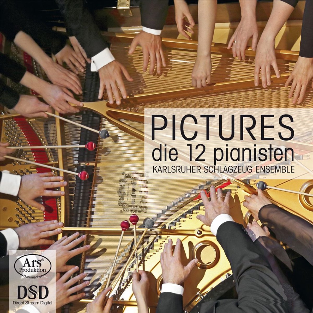 Die 12 Pianisten: Pictures