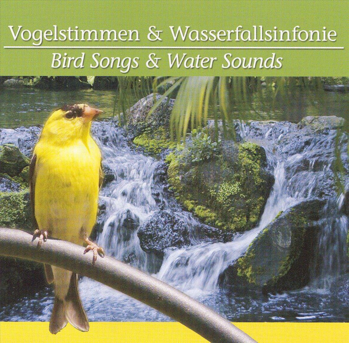 Vogelstimmen & Wasserfallsinfonien