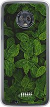 Motorola Moto G6 Hoesje Transparant TPU Case - Jungle Greens #ffffff
