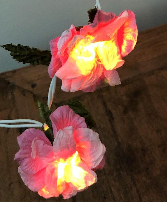 genezen Pompeii erwt Lichtslinger met bloemen, voor binnen | bol.com