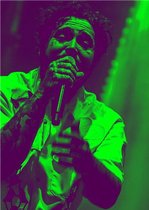Allernieuwste Canvas Schilderij Rapper Post Malone Zanger Songwriter - Rap Muziek - Poster - 50 x 70 cm - Kleur