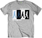 The Beatles - Abbey Road Colours Crossing Kinder T-shirt - Kids tm 12 jaar - Grijs