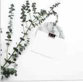 Acrylglas - Witte Enveloppe met Groene Plant - 50x50cm Foto op Acrylglas (Wanddecoratie op Acrylglas)