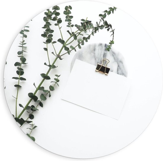 Forex Wandcirkel - Witte Enveloppe met Groene Plant - 90x90cm Foto op Wandcirkel (met ophangsysteem)