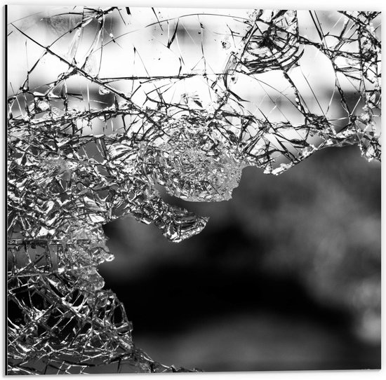 Dibond - Blad bij Takken (zwart/wit) - 50x50cm Foto op Aluminium (Wanddecoratie van metaal)