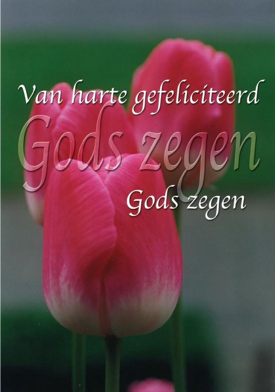 Close-up van drie roze tulpen met de tekst "Van harte gefeliciteerd Gods zegen".