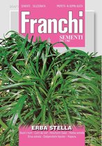 Franchi - Plantain Erba Stella 54/1