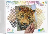 Pixelhobby Pixel kit 9 basisplaten Leopard (luipaard) 30,5 x 38,1 cm 90050