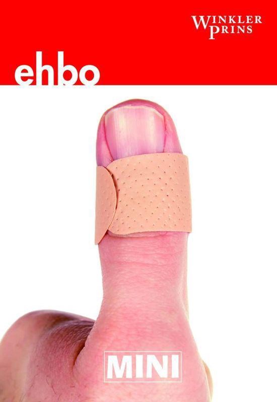 Cover van het boek 'Mini WP EHBO'