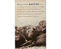 Ratten
