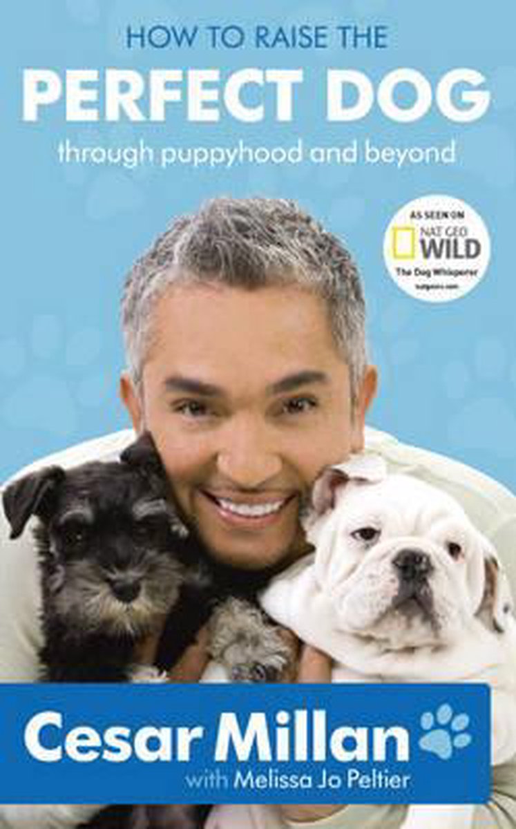 Bol Com How To Raise The Perfect Dog Cesar Millan 9780340993057 Boeken