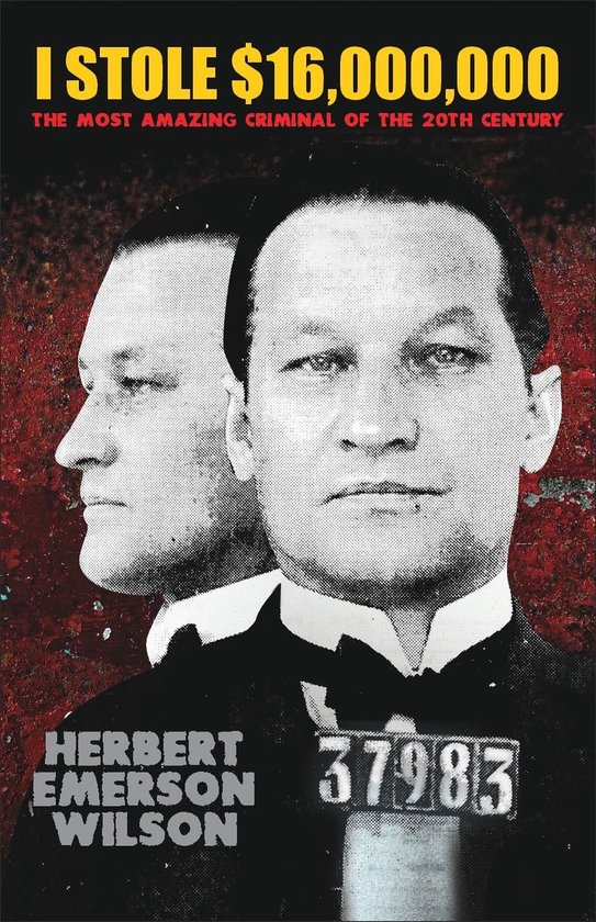 I Stole $16,000,000 - cover