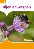 Informatie 81 -   Bijen en wespen