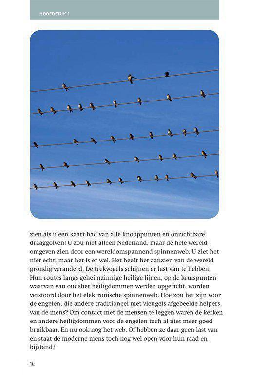 Opgroeien - Beeldschermbeelden