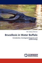 Brucellosis in Water Buffalo