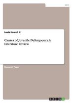 Causes of Juvenile Delinquency. a Literature Review
