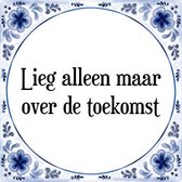 Tegeltje met Spreuk (Tegeltjeswijsheid): Lieg alleen maar over de toekomst + Kado verpakking & Plakhanger