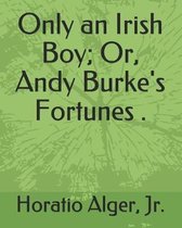 Only an Irish Boy; Or, Andy Burke's Fortunes .