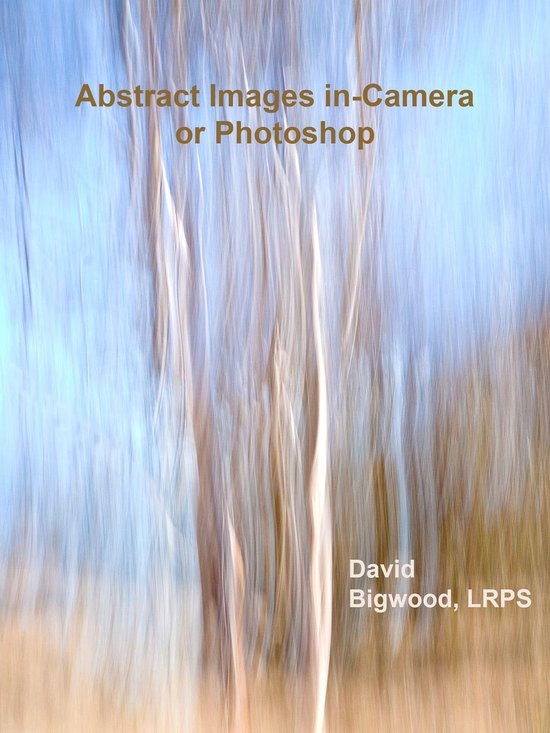 Abstract Images in-Camera or Photoshop - cover