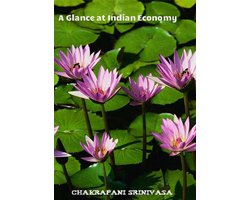 A Glance at Indian Economy